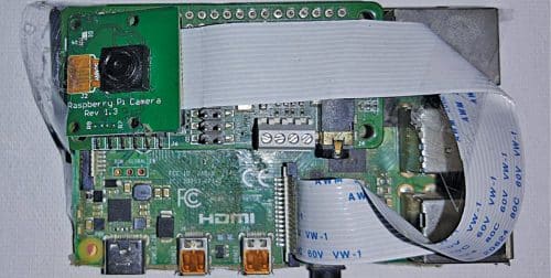 作者的原型